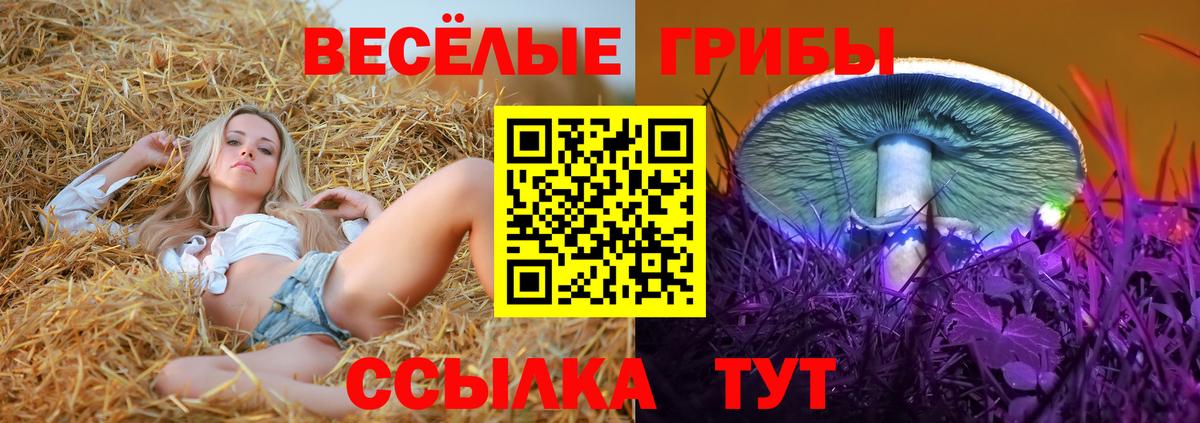 Бузулук  Галлюциногенные грибы ЛСД  Вход с VPN  Галлюциногенные грибы мицелий 